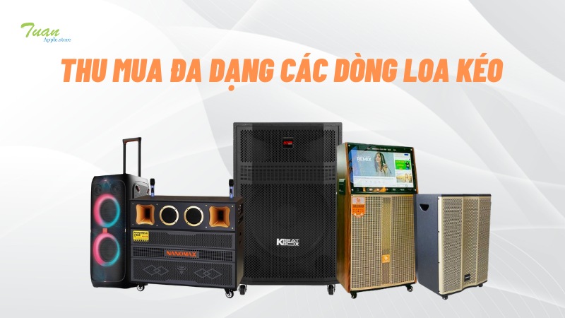 Thu mua đa dạng các dòng loa kéo